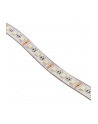 Lamptron Flexlight RGBW 3M 60 LED (MOLT120) - nr 4