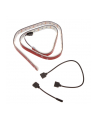 Lamptron Flexlight RGBW 3M 60 LED (MOLT120) - nr 5