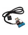 InLine Adapter USB InLine Adapter USB 3.1 na USB 3.0 InLine - wewnętrzny (33446A) - nr 1