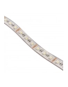 Lamptron Flexlight RGBW 3M 60 LED (MOLT120) - nr 7