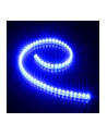 Lamptron Taśma LED FlexLight Standard - 60xLED - niebieska (LAMP-LEDFL6001) - nr 1
