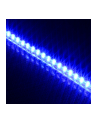Lamptron Taśma LED FlexLight Standard - 60xLED - niebieska (LAMP-LEDFL6001) - nr 2