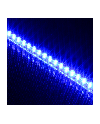 Lamptron Taśma LED FlexLight Standard - 60xLED - niebieska (LAMP-LEDFL6001)