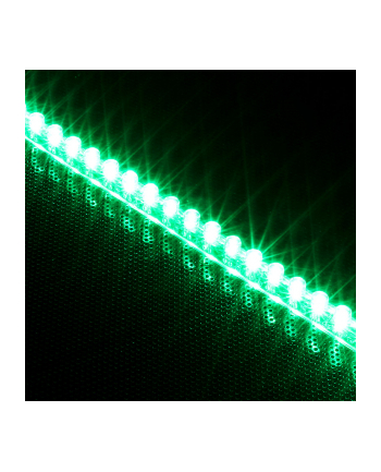 Lamptron Taśma LED FlexLight Standard - 60xLED - zielona (LAMP-LEDFL6003)