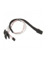 SilverStone Mini SAS/ 4xSATA SGPIO (SSTCPS03) - nr 5