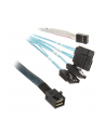 SilverStone SFF8643 / SGPIO 4xSATA 0.5 m (SSTCPS05) - nr 4
