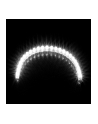 Lamptron Taśma Led Flexlight Standard 24Xled Iała (LAMP-LEDFL2404) - nr 1