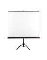 avtek Ekran na statywie Tripod Standard 150, 1:1, 150x150cm, powierzchnia biała, matowa - nr 1