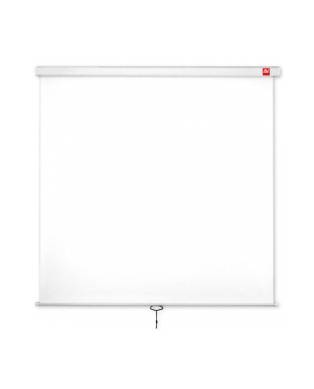 avtek Ekran ścienny ręczny Wall Standard 175, 1:1, 175x175cm, powierzchnia biała, matowa