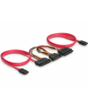 DeLOCK SATA All-in-One cable for 2x HDD (84356) - nr 1