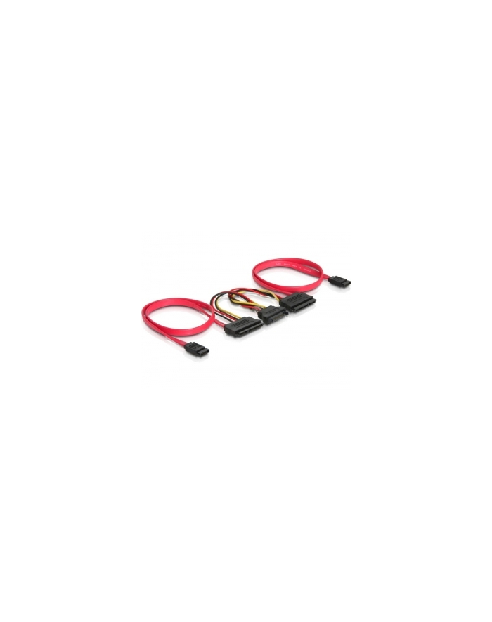DeLOCK SATA All-in-One cable for 2x HDD (84356) główny