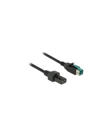 Delock Powered USB Kabel 12V - 2x4Pin St 2.0m (85483)