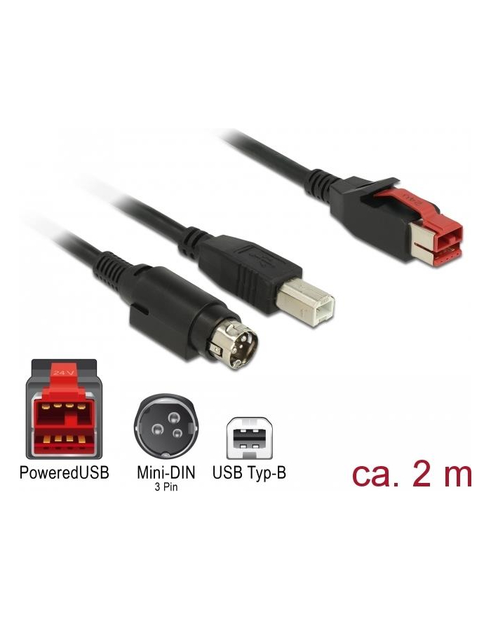 Delock PoweredUSB Kab. 24v - USB-B St + Hosiden 3Pin 2.0m (85488) główny