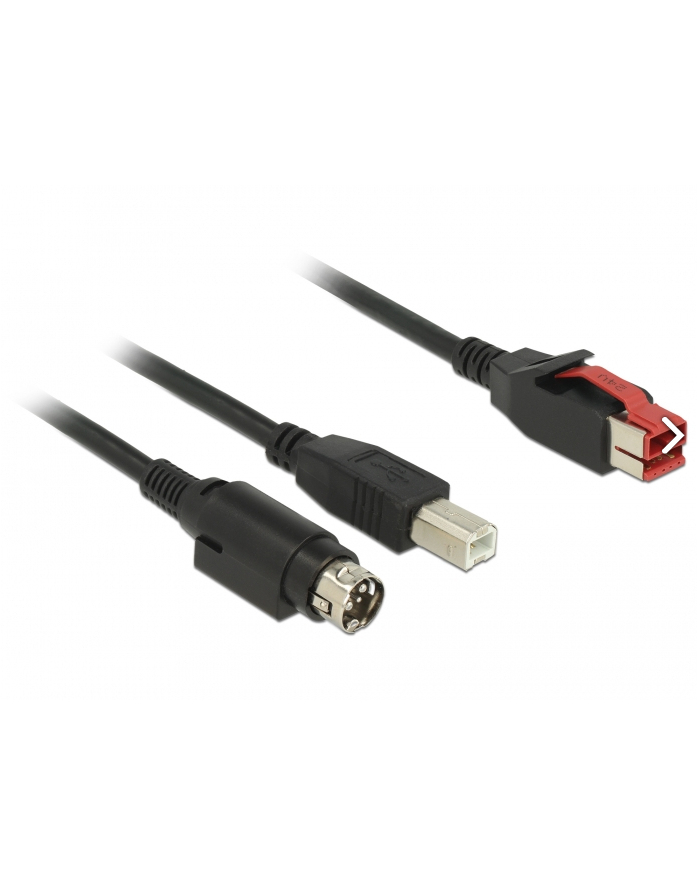 Delock PoweredUSB Kab. 24v - USB-B St + Hosiden 3Pin 2.0m (85488) główny