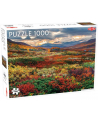 PROMO Puzzle 1000el Around the World, Northern Stars: Indian Summer in Norrbotten TACTIC - nr 1