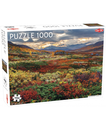 PROMO Puzzle 1000el Around the World, Northern Stars: Indian Summer in Norrbotten TACTIC