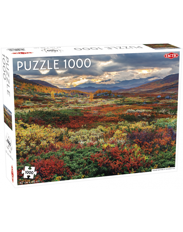 PROMO Puzzle 1000el Around the World, Northern Stars: Indian Summer in Norrbotten TACTIC główny