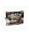 PROMO Puzzle 1000el Animals: Cute Kittens TACTIC - nr 2