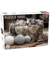 PROMO Puzzle 1000el Animals: Cute Kittens TACTIC - nr 3