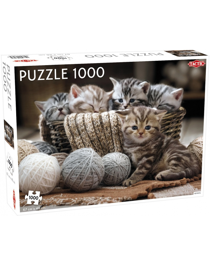 PROMO Puzzle 1000el Animals: Cute Kittens TACTIC główny