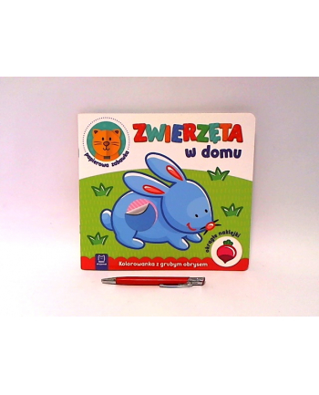 Książka Zwierzęta w domu. Kolorowanka z grubym obrysem, okrągłe naklejki, papierowa zabawka AKSJOMAT
