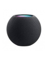 Apple Homepod mini, loudspeaker (Space Grey, WLAN, Bluetooth, Siri) - nr 11