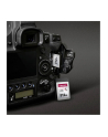 Transcend CFExpress 820 512 GB, memory card - nr 12