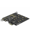 DeLOCK PCI Express x1 card to 2 x internal M.2 Key B, adapter - nr 17