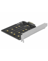 DeLOCK PCI Express x1 card to 2 x internal M.2 Key B, adapter - nr 19