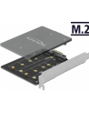 DeLOCK PCI Express x1 card to 2 x internal M.2 Key B, adapter - nr 3