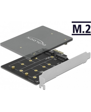 DeLOCK PCI Express x1 card to 2 x internal M.2 Key B, adapter