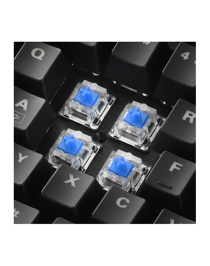 Sharkoon SKILLER SGK30 Blue, gaming keyboard (black, US layout) główny