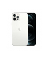 Apple iPhone 12 Pro Max 256GB silver D-E - nr 31
