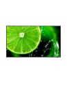NEC MultiSync E558 55inch E Series large format display UHD 350cd/m2 Direct LED backlight 16/7 proof Media Player - nr 1