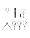 TRACER RING 30cm tripod 210cm ring lamp - nr 16