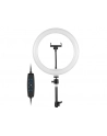 TRACER RING 30cm tripod 210cm ring lamp - nr 2