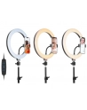TRACER RING 30cm tripod 210cm ring lamp - nr 4
