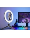 TRACER RING 26cm mini tripod ring lamp - nr 12