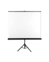 Ekran na statywie AVTek Tripod Standard 200x200 (1:1) Matt White - nr 6