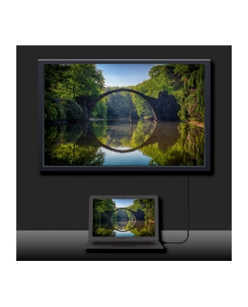 qoltec Kabel DisplayPort v1.2 męski | DisplayPort v1.2 męski | 4K |3m
