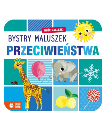 zielona sowa Książka Bystry maluszek. Przeciwieństwa