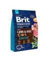 BRIT Premium Sensitive Lamb ' Rice 3kg - nr 2
