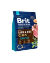 BRIT Premium Sensitive Lamb ' Rice 3kg - nr 3