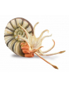 Pleuroceras ammonite 88902 COLLECTA - nr 1