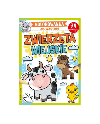 booksandfun Kolorowanka ze wzorem. Zwierzęta wiejskie. Books and fun