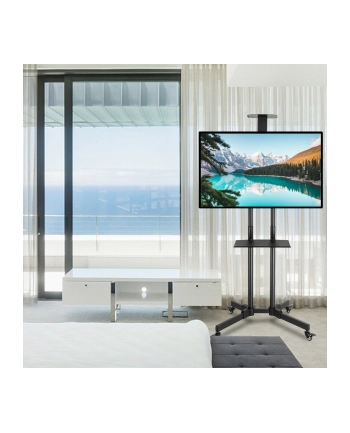 TECHLY Stojak Mobilny TV LED/LCD 37-70inch 50kg 2 Półki Regulowany