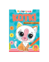 booksandfun Książeczka Kolorowe kotki. Kolorowanie z cyferkami Books and fun - nr 1