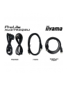 iiyama Monitor 27 cali XU2792QSU-B1 IPS,WQHD,DVI,HDMI,DP,USB3.0.FREESYNC - nr 41