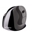 Evoluent VerticalMouse D, mouse (Kolor: CZARNY / silver, medium, RH) - nr 17