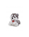 dante Maskotka Pies Husky 29047 TRUDI - nr 1